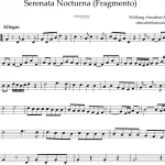 Serenata Nocturna (Fragmento)