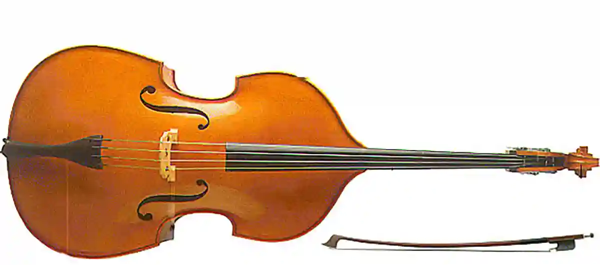 El contrabajo