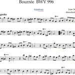 La Melodía Inmortal de Bach: Bourrée BWV 996 en Flauta Dulce