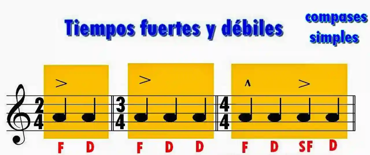 Partes fuertes y débiles de los compases.